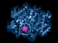 AI predicts the function of enzymes