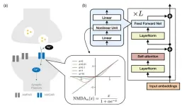 AIs memory-forming mechanism found to be strikingly similar to that of the brain