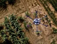 AI shows how field crops develop 2