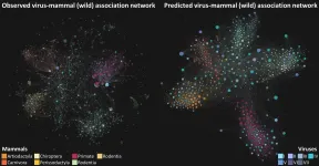 AI used to predict unknown links between viruses and mammals