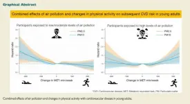 Air pollution and physical exercise: when to do more or less