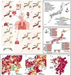 Air pollution impacts an aging society 2