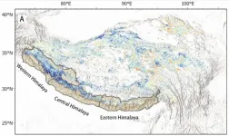 Air pollution speeds snowmelt