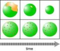 Airborne particles smuggle pollutants to far reaches of globe