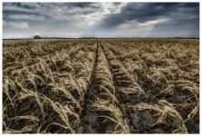 Alleviate the drought in the east Hungarian plains