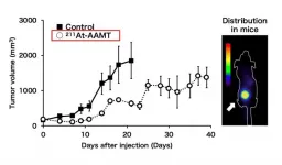 Alpha-ray missile therapy: tumor cells attacked from intracellular region