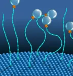 Alternative fuel for string-shaped motors in cells