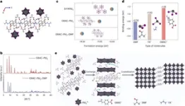 Alternative fuel for string-shaped motors in cells 2