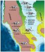 Amazing horned dinosaurs unearthed on lost continent