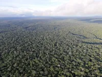 Amazon deforestation linked to long distance climate warming 