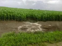 American soil losing more nutrients for crops due to heavier rainstorms, study shows