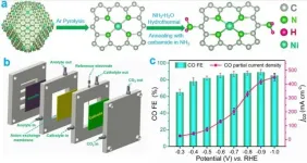 Amination strategy improves efficiency of CO2 electrocatalytic reduction