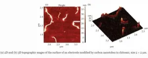 Amperometric biosensors used to control diclofenac content in food