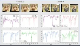 An approach for robust facial attribute classification