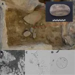 An archaeological study reveals new aspects related to plant processing in a Neolithic settlement in Turkey