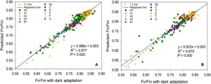 An artificial intelligence method for rapid plant phenotyping under complex conditions