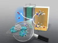 An efficient way to hydrogenate nitrogen-containing aromatic compounds has been developed