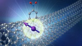 An innovative twist on quantum bits: Tubular nanomaterial of carbon makes ideal home for spinning quantum bits