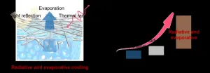 An integrated approach to cool: how evaporation and radiation can cool the world