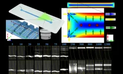 An on-chip viscoelasticity sensor for biological fluids