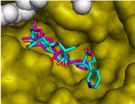 Analogues of a natural product are drug candidates against malaria 2