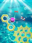 Anchoring single Co sites on bipyridine-based CTF for photocatalytic oxygen evolution