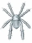 Ancient arachnid from coal forests of America stands out for its spiny legs 2