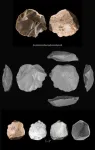 Ancient engravings shed light on early human symbolic thought and complexity in the levantine middle palaeolithic