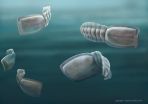 Ancient fossils confirmed among our strangest cousins