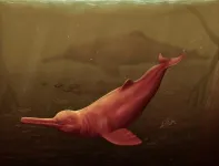 Ancient giant dolphin discovered in the Amazon