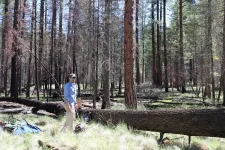 Ancient indigenous New Mexican community knew how to sustainably coexist with wildfire