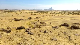 Ancient Islamic tombs cluster like galaxies