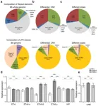 Ancient virus genome drives autism? 2