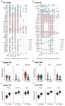 Ancient virus genome drives autism? 3