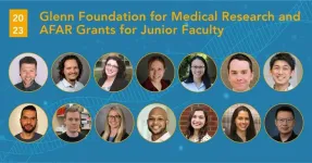 Announcing 2023 Glenn Foundation for Medical Research and AFAR Research Grants for Junior Faculty