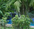 Announcing the Grand Opening of Chachagua Rainforest Hotel & Hacienda 3