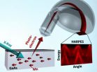 Another advance on the road to spintronics