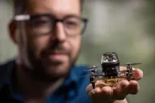 Ant insights lead to robot navigation breakthrough 2