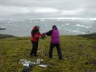 Antarctic moss lives after 1,500+ years under ice 2