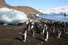 Antarctic penguin colonies can be identified and tracked from tourists' photos, using a computer model to reconstruct the 3D scene