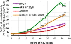 Anticancer potential of CLK kinase inhibitors 1C8 and GPS167 via EMT and antiviral immune response