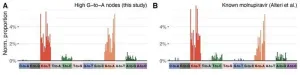 Antiviral drug linked to SARS-CoV-2 mutations