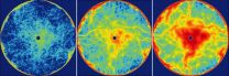 Ants' movements hide mathematical patterns 2