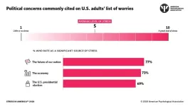 APA Poll: Future of nation, economy and presidential election top U.S. stressors