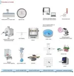 Applications, limitations, and prospects of different muscle atrophy models in sarcopenia and cachexia research 2