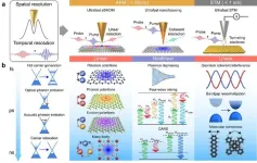 Applications of ultrafast nano-spectroscopy and nano-imaging