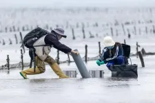 Aquaculture turns biodiversity into uniformity along the coast of China