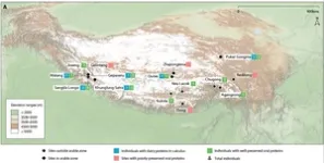 Archaeological sites at risk from coastal erosion on the Cyrenaican coast, Libya 3