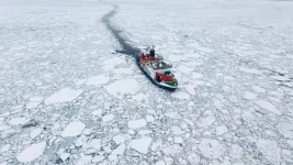 Arctic sea ice thinning faster than expected