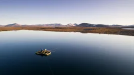 Arctic was once lush and green, could be again, new research shows